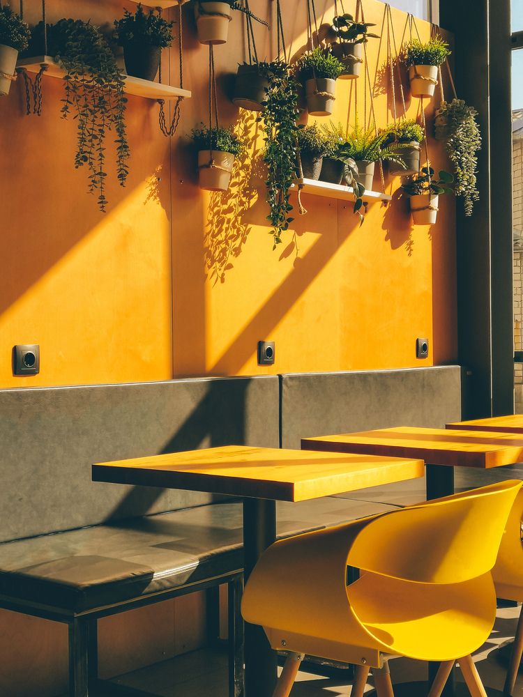 Photograph by Екатерина