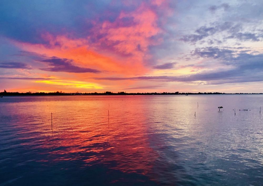 Photograph by Xavier Ponce