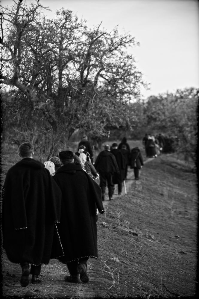 Фотография автора FOTINI KALTSIDOU