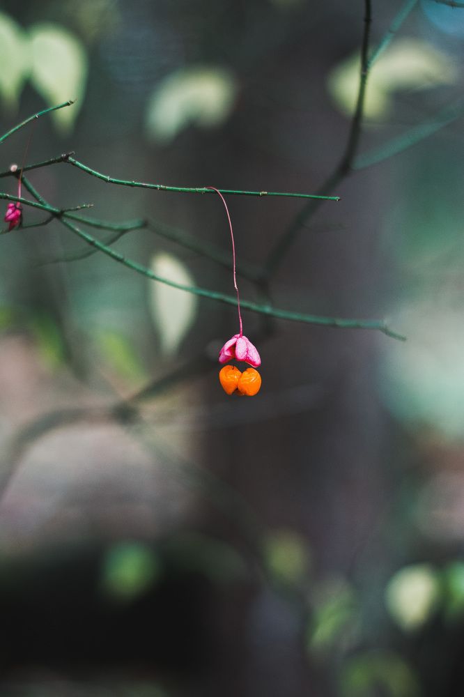 Photograph by Светлана Климова