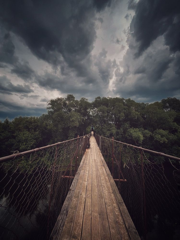 Photograph by Виктория Селютина