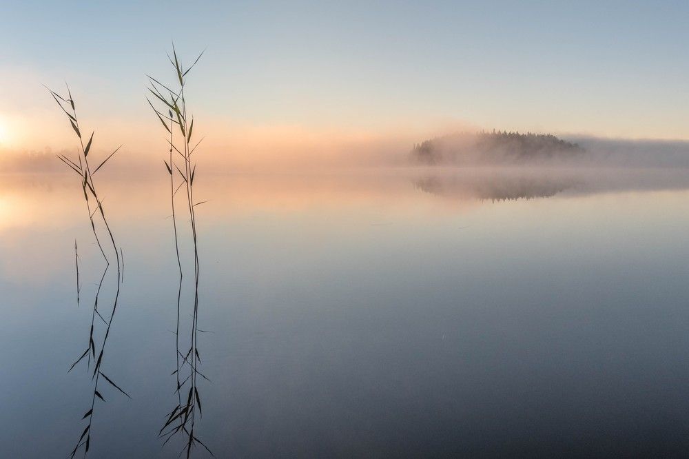 Карельская каллиграфия