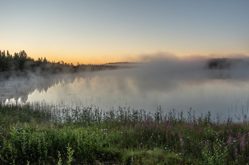Туманное утро