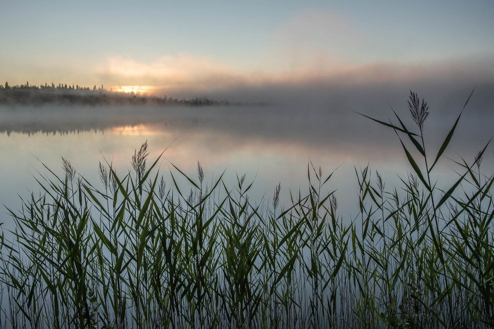 Утро на озере