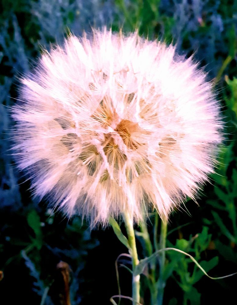 Photograph by Сергей Мамалюк