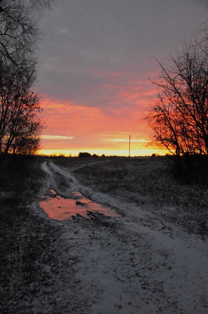 Photograph by Лысых Галина