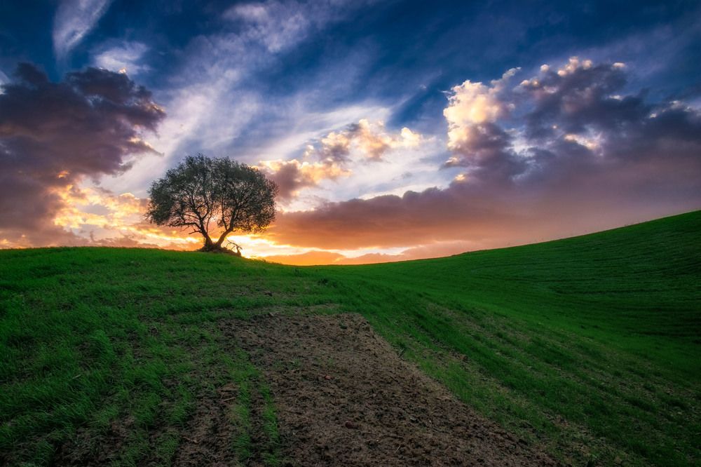 Photograph by Fehd Ghammit