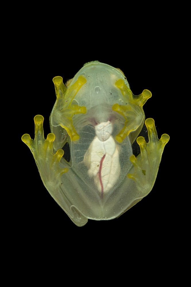 Photograph by Aarón Santiago Varela Velásquez