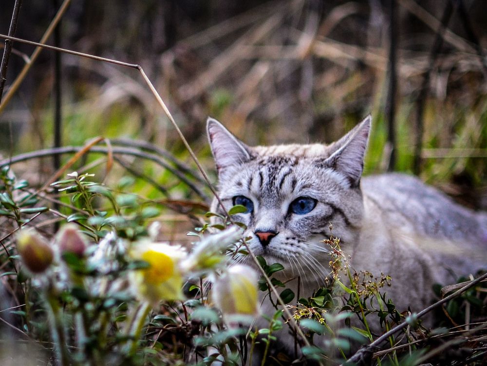 Photograph by Оксана Радзиевская