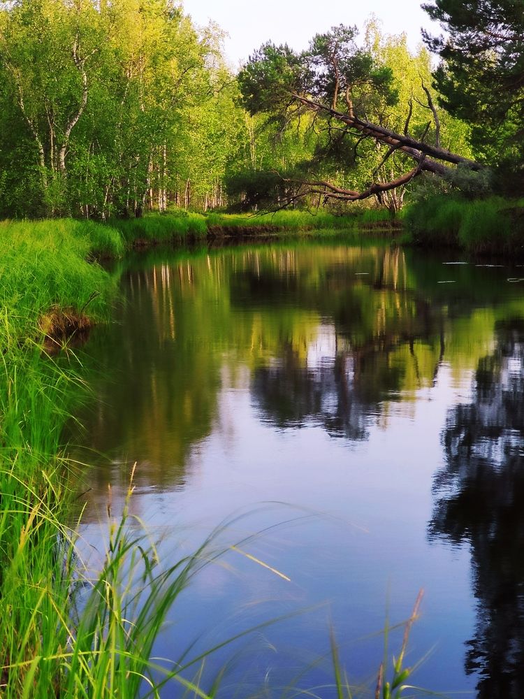 Photograph by Оксана Радзиевская