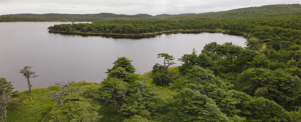 Photograph by Dmitriy Filev