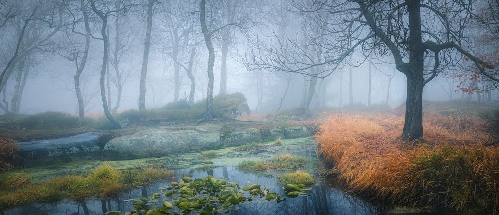 Photograph by Ожерельев Андрей