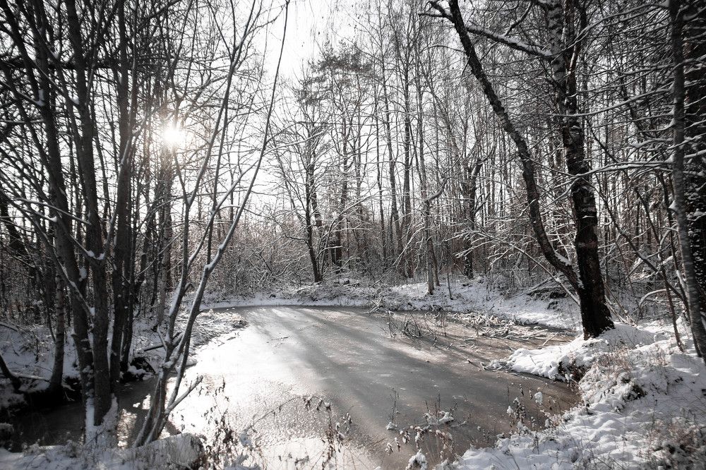 Photograph by Наталья Сапрыкина