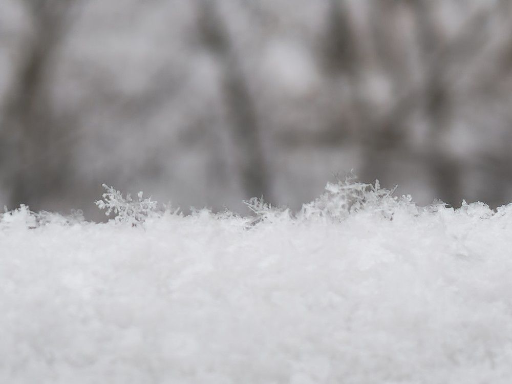 Фотография автора Ольга