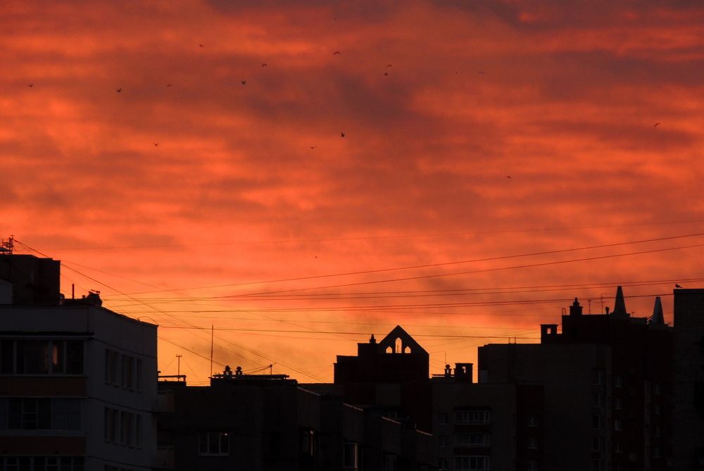 Photograph by Дмитрий Салов