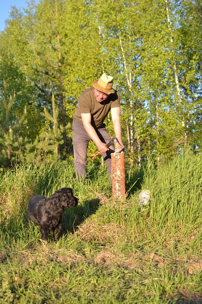Photograph by Оксана Радзиевская