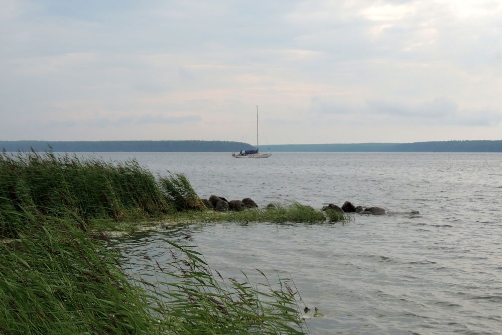 Photograph by Дмитрий Салов