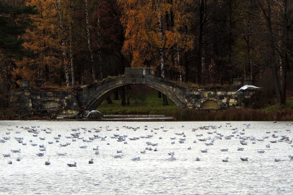 Photograph by Дмитрий Салов
