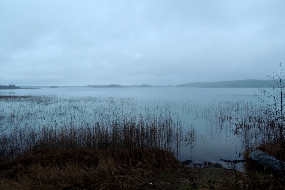 Photograph by Дмитрий Салов