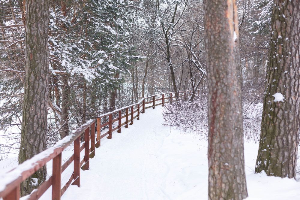 Photograph by Marie Dashkova