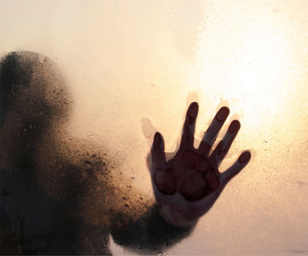 Photograph by Дубровин Николай