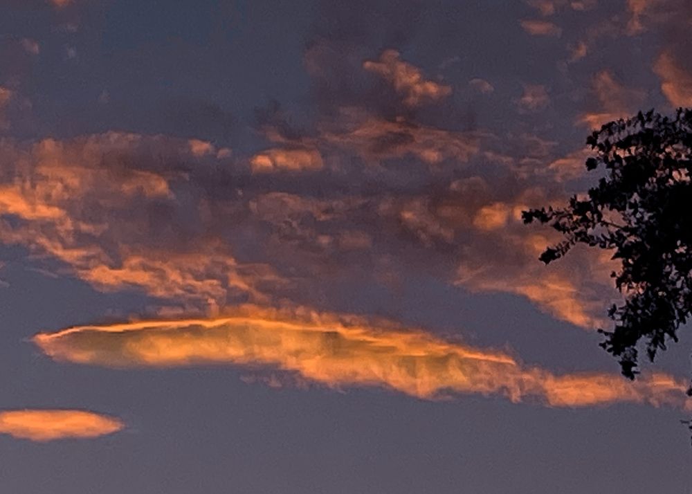 Photograph by  Erika Tinoco