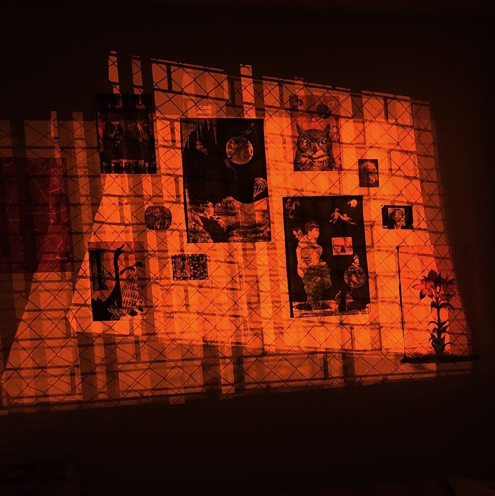 Photo #8473488