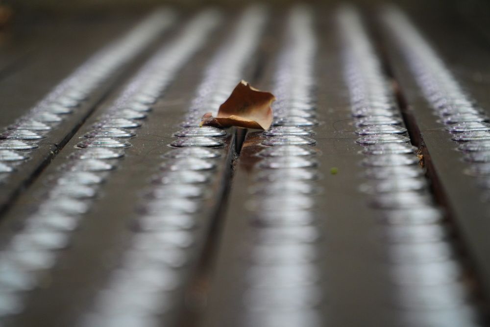 Photograph by Samuel Chan