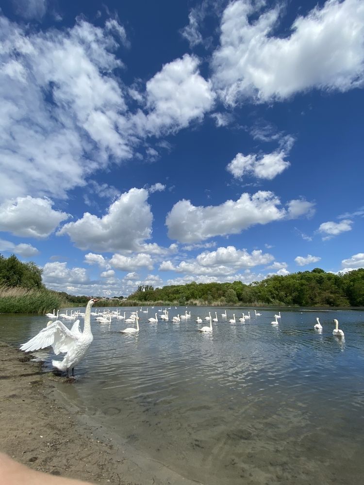 Photograph by Елена Катунина