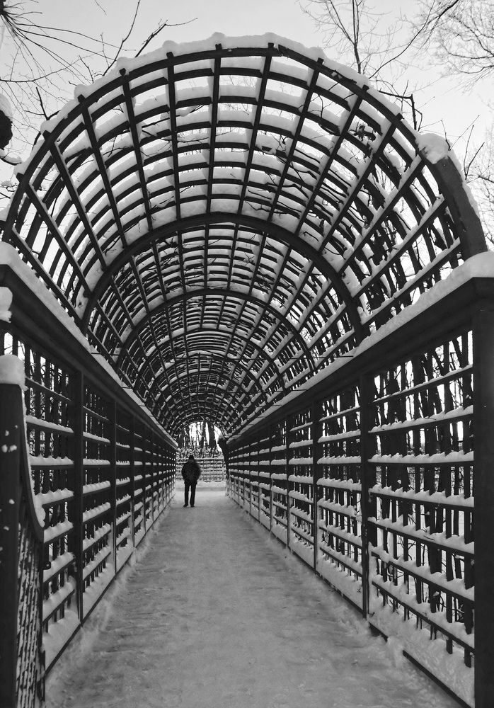 Фотография автора Ольга Виноградова