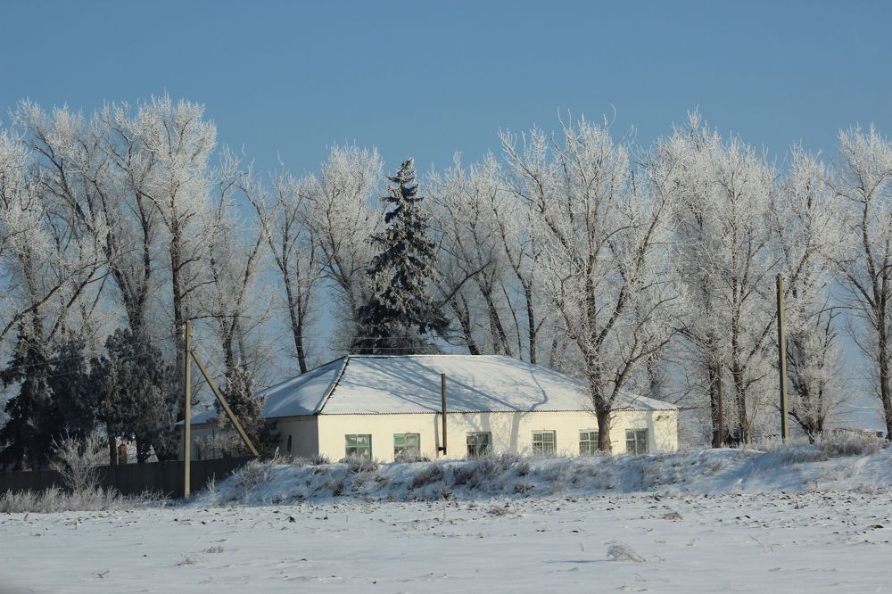 Photograph by Елена Катунина