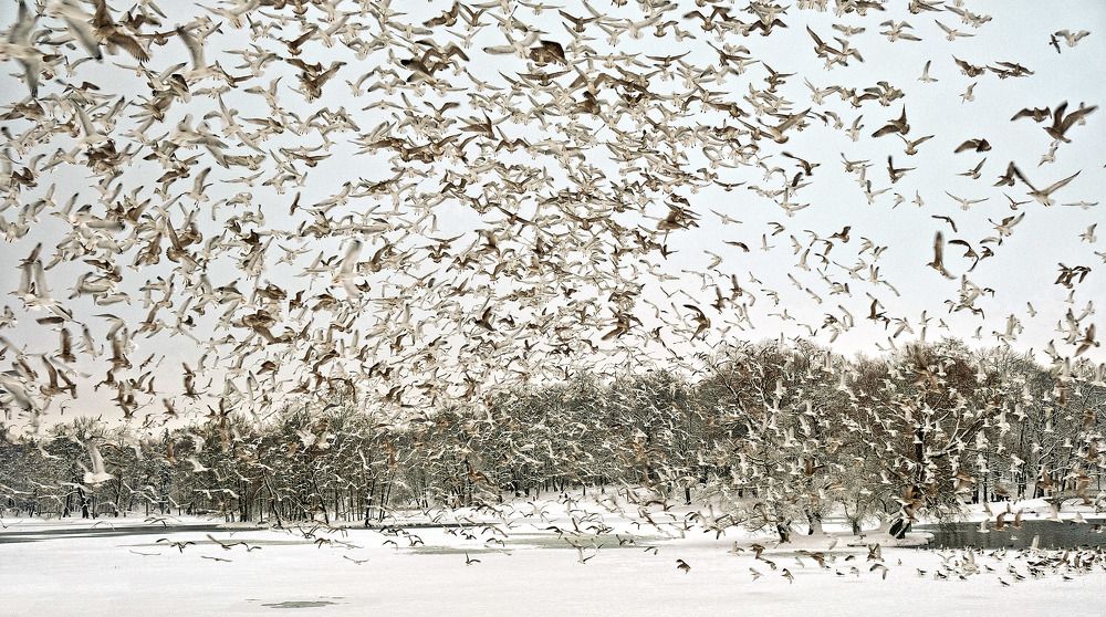 Фотография автора Ольга Виноградова