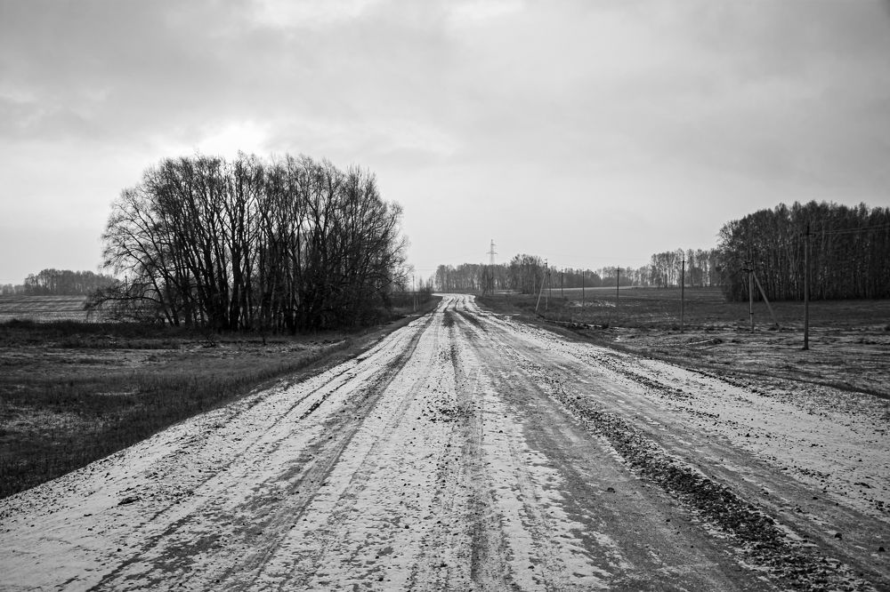 Photograph by Елена Берсенёва