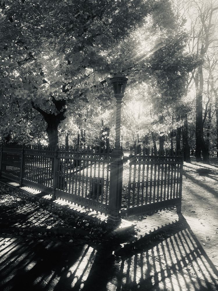 Кронштадт, парк