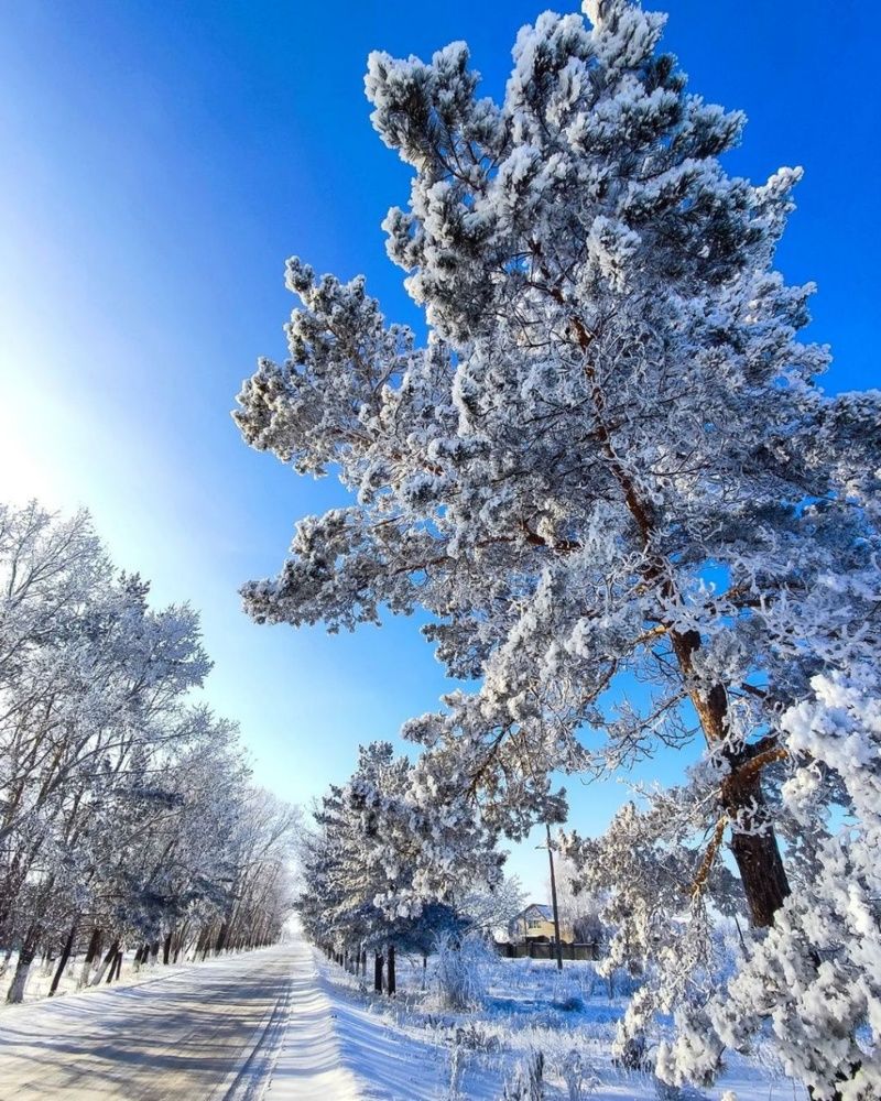 Морозное утро