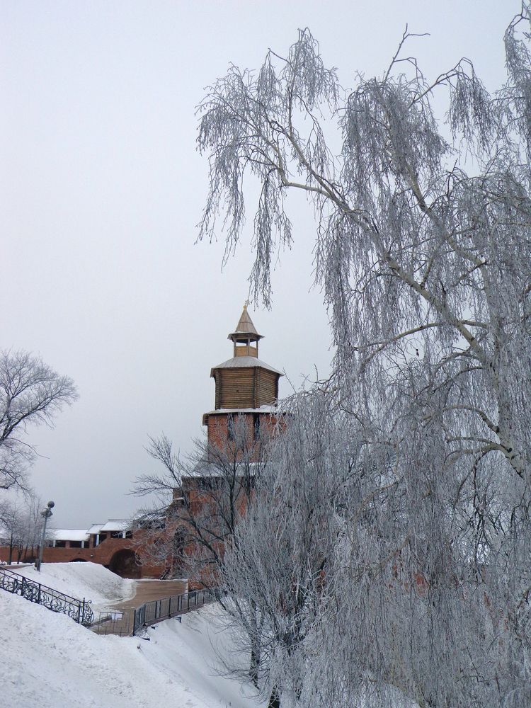 Photograph by Наталья Сазонова