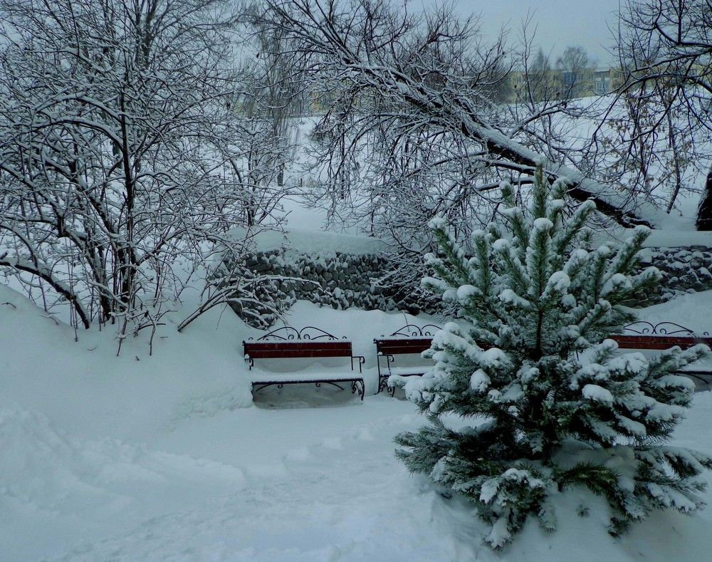 Photograph by Наталья Сазонова