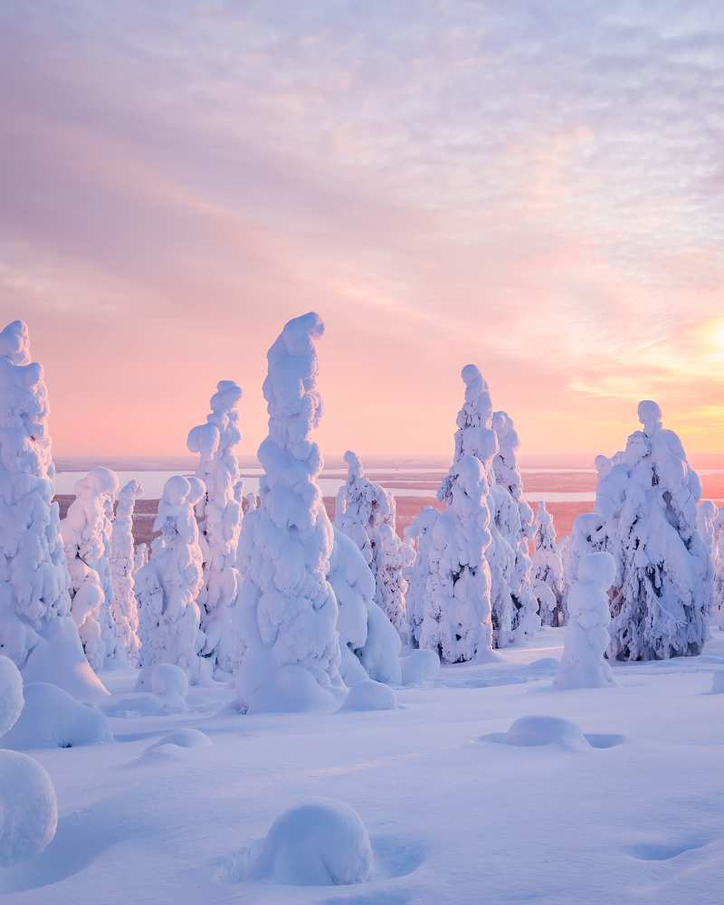 Photograph by Артём Бабенов