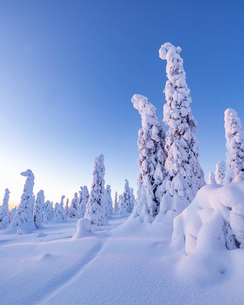 Photograph by Артём Бабенов