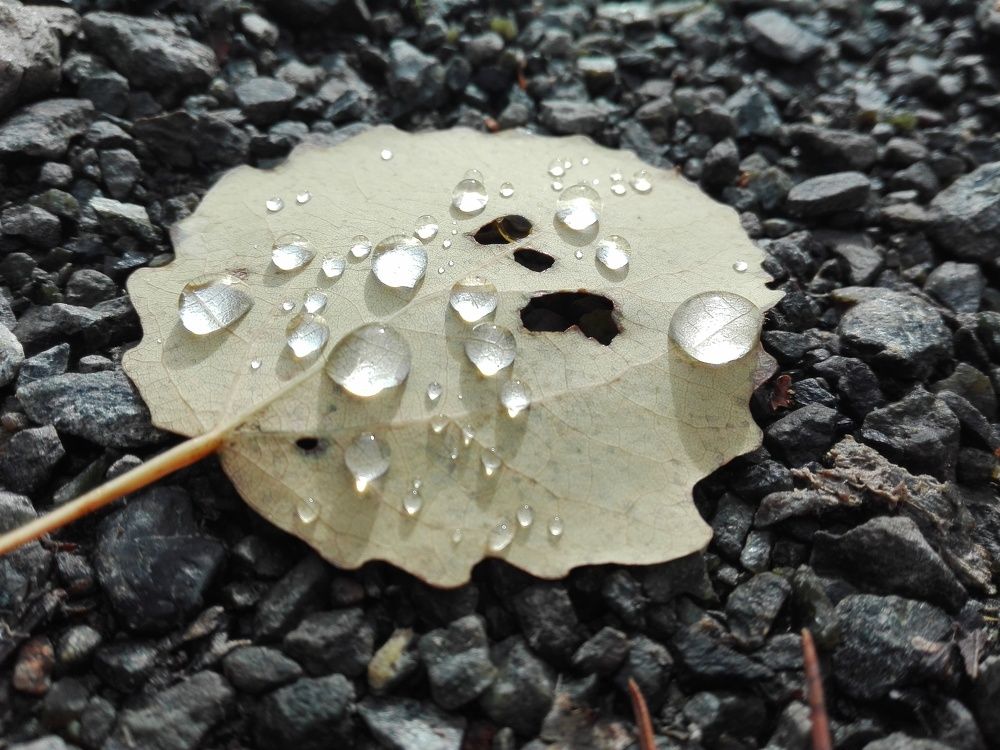 Photo #8473695