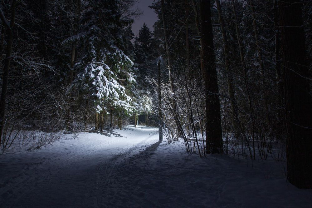 Photograph by Максим Бритько