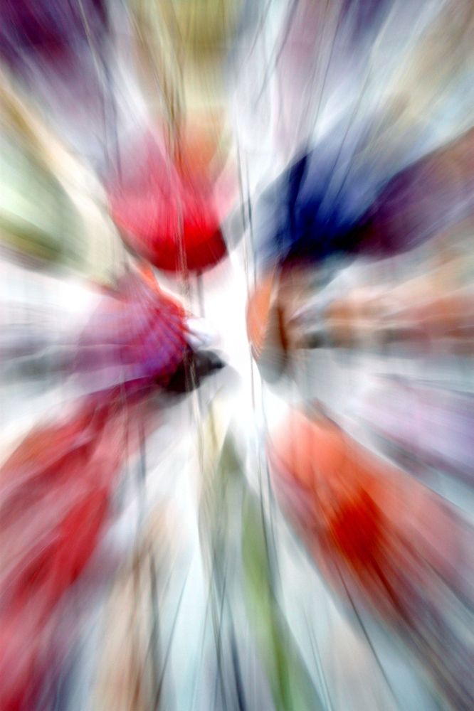 Photograph by Fatemeh Davari