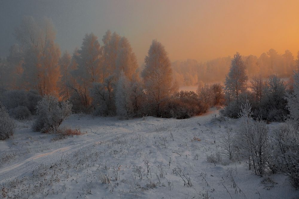 Photograph by Олег Тетерин