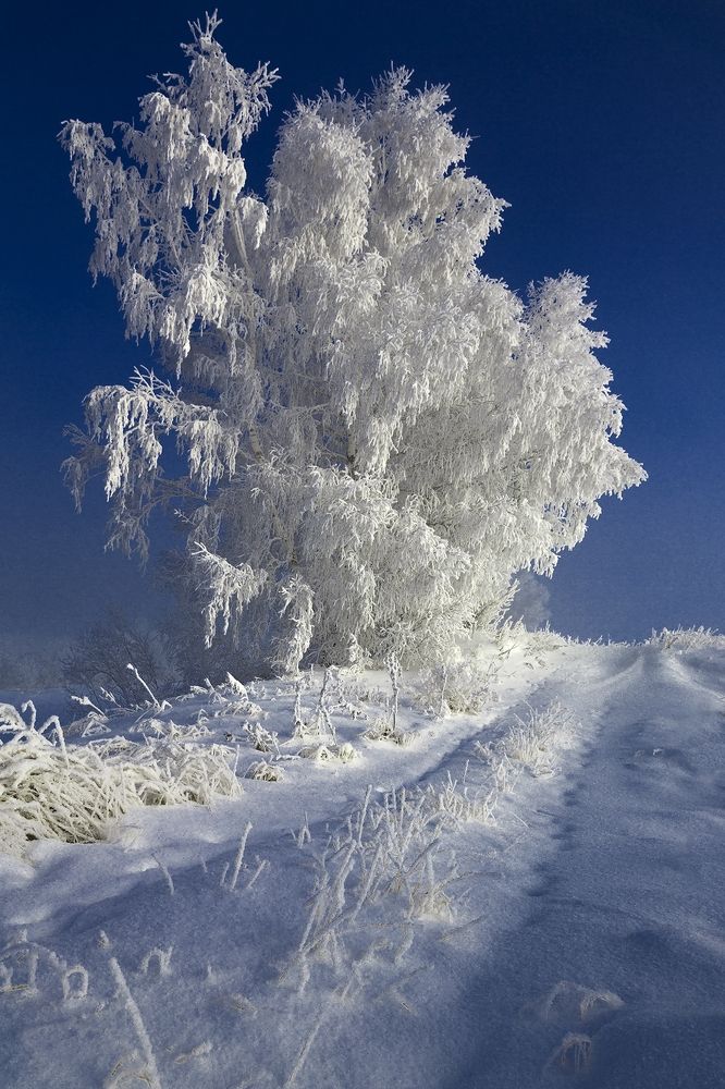 Photograph by Олег Тетерин