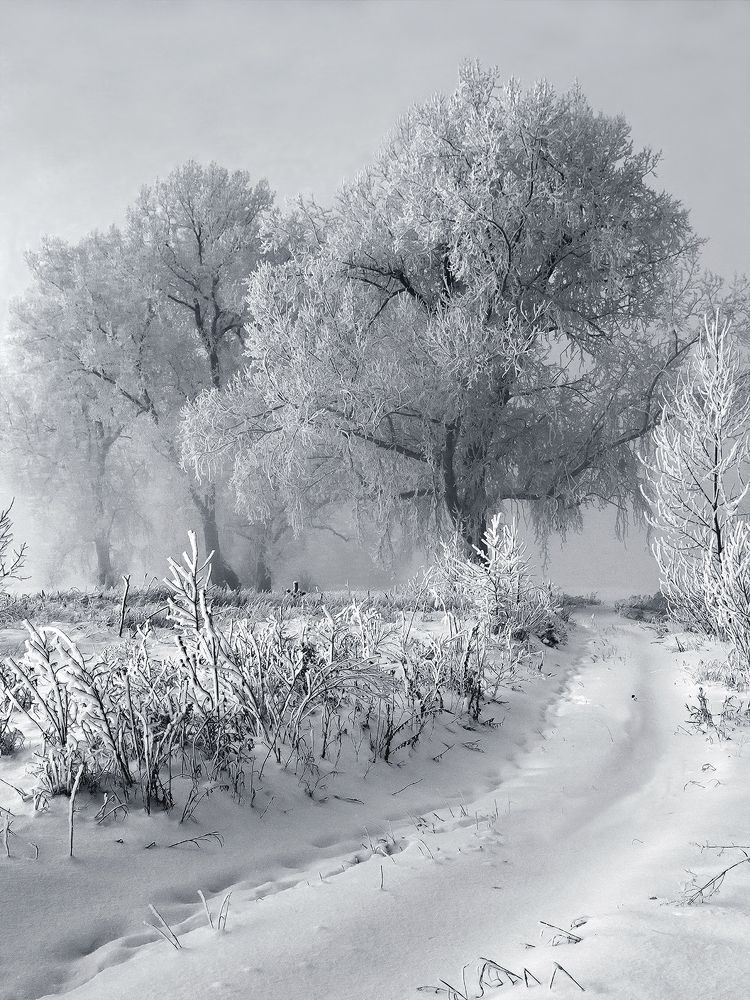 Photograph by Олег Тетерин