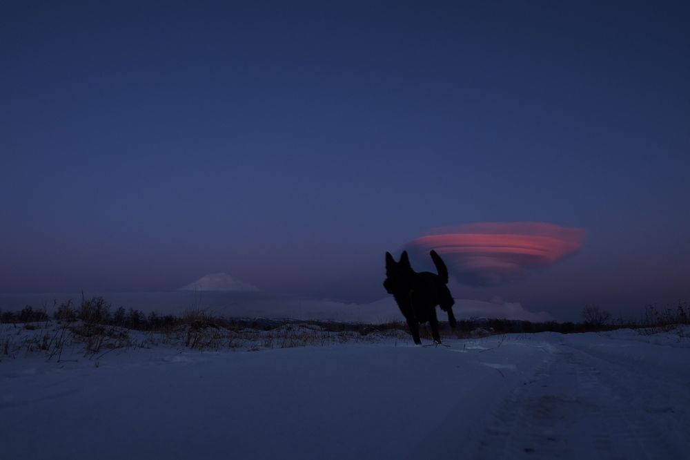 Photograph by Яна Бойко