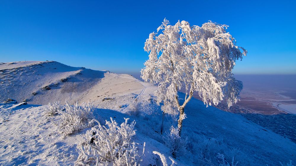 Укрывая снегом.