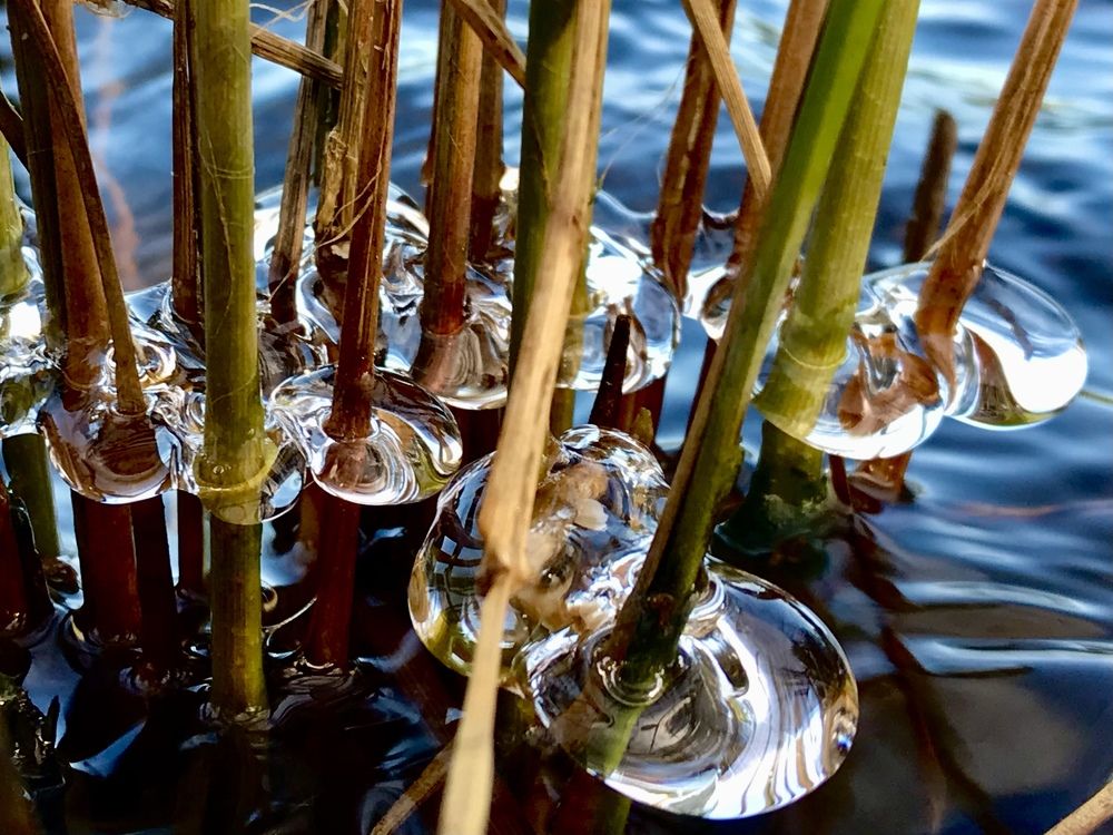 Вода и лёд, игра света и теней.