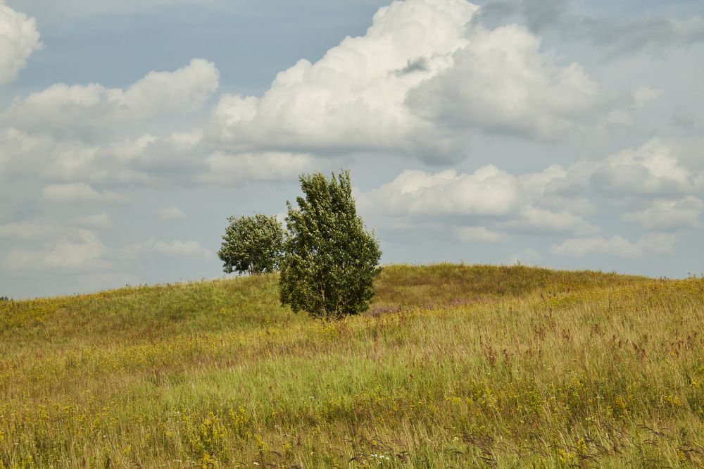Photograph by Елена Никитина