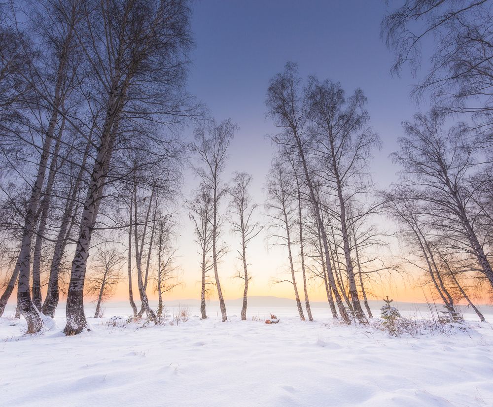 Photograph by Дмитрий Шадрин